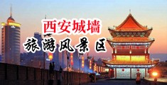 黑丝美女用振动棒自慰喷水视频中国陕西-西安城墙旅游风景区